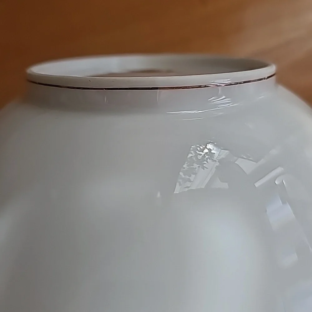 Vintage Alden by Meito Rare Elegant Dinnerware - 11